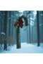 Cane Christmas Ornament, Candy Cane Ornament, Green Candy Cane Ornament, Decorative Door Ornament, 20 cm with Bow - 2