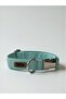 Sky Dog Collar with Detachable Bow - 3