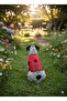 Cat & Small Breed Dog Walking Harness & Collar - 3