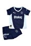 Fsk Third Babykit - Navy Blue and Purple Shoes