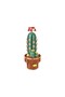 Zuanma Educational Cactus Block Building Set - Decorative & Creative Children's Toy - 2