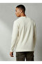 Men Regular Fit Henley Neck Long Sleeve T-shirt - 3