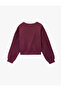 Regular Fit Three Thread Sh Fleece-Lined Long Sleeve Crew Neck Basic Sweatshirt - 4