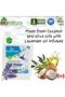 Organic Floor Cleaner, 5 Litres, Eco-Friendly Disinfectant, Fresh Scent - 2