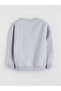 Özmarka New Season Crew Neck Printed Boys' Sweatshirt - 3