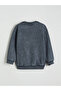 Anthracite Crew Neck Boy's Thick Sweatshirt - 4