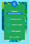 Blue Matcha – Cookie Flavored Blue Spirulina Superfood Matcha Powder 25 Gr - 5