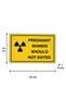 English Signage from the Warning Signs Series,'Pregnant Women Should Not Enter', 30X20 cm – 3 mm Forex - 4