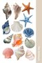 Seashell Collection Retro Sticker, Decal, Agenda, Diary, Planner, Bullet Journal, Scrapbook - 4