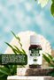 Lokman Efendi Coriander Oil 20 Cc - 3