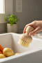 Natural Cactus Herb Fruit and Vegetable Cleaning Dish Brush (Vegan) - 2