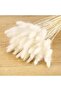 Natural Dried Cotton Grass, Rabbit Tail Bridal Bouquet Arrangement Flower Lagurus 60 Branches - 7