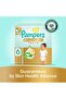 Baby Diapers | Ultimate Comfort Taped | Size 6 | 13+ kg | Aloe+Vit E | 60 Ct - 2
