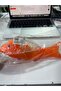 Multicolor Kid's Transparent Gear Fish Toy with 3D Light and Music - 3
