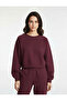 Regular Fit Three Thread Sh Fleece-Lined Long Sleeve Crew Neck Basic Sweatshirt