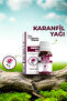 Karanfil Yağı