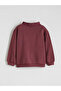 Lcw Baby Bordo Baby Boy Thick Sweatshirt and Sweatpants - 4