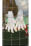 New Kx'Crazy' Professional Goalkeeper Glove - 6