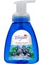 Elegant Gentle Foaming Hand Wash – Blueberry Glaze – 250 ML – Foaming Pump Hand Soap