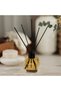 Room Reed Diffuser, Mango & Apple Scent Loris, 120 ml - 2