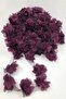 Laser Cut Flower, Decorative Flower Ribbon Tulle 5 Meters Long