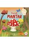 Unique Stories of Nature Little Apple Tree Little Pumpkin Little Mushroom Little Bee - 3