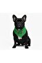 Christmas Dog Scarf Cat Scarf (between 2-15 kg) - 3