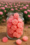 Mini Rose Soaps in Gift Jar 330Cc