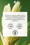 Anti-Frizz Heat Protectant Prebiotic Serum - Frizzy and Unruly Hair/Lissage - Vegan - 8