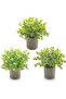 OFRANK Artificial Potted Plants with Flowers (Set of 3, White/Yellow/Purple)