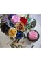 DuHouse Artificial Silk Roses Long Stem (Red) - 10 pcs - 4
