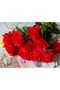 DuHouse Artificial Silk Roses Long Stem (Red) - 10 pcs - 2