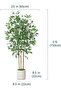 Artificial Ficus Tree with Natural Wood Trunk, Lifelike Leaves (B, 150cm) - 6