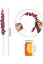HEXXEE Amzboen 15 Pcs Artificial Eucalyptus Leaves, 16" Stems Faux Greenery