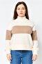 Women Turtle Neck Stripped Sweater, Multicolor