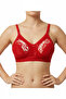 Shaping / Sculpting Lez Lace Bra with Wide Elastic Band on the Bottom - 2