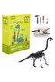 Brachiosaurus Dinosaur Fossil Dig Kit for Kids | STEM Excavation & Discovery Toy