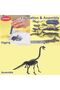 Brachiosaurus Dinosaur Fossil Dig Kit for Kids | STEM Excavation & Discovery Toy - 5