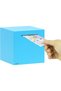 Piggy Bank for Adults, Stainless Steel, Must Break to Access Savings (6 Inch) - Blue