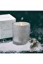 Frasier Fir Flocked Poured Candle (6.5 oz) - 2