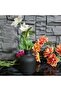 Bohemian Style Nordic Small Size Vase Gift Pinterest Pampas Decorative Items