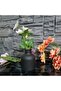 Bohemian Style Nordic Small Size Vase Gift Pinterest Pampas Decorative Items - 2