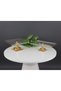 2 Piece Gold Pasta Sinumluk Kurabi̇yeli̇k Set