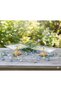 2 Piece Gold Pasta Sinumluk Kurabi̇yeli̇k Set - 2