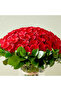 101 Red Roses In Glass Vase - 3