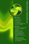 Matsu Matcha - First Harvest Premium Pure Matcha Powder 100 Gr - 6
