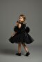 Black Pompom Sleeves Rose Patterned Tulle Party and Birthday Dress - 2
