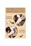 Diller Toffee Bear Figured 520 ml Stainless Steel Thermos - 2