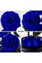 Blue ForEver Rose in One Dome (3 pcs) - 2