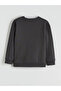 Anthracite Stranger Things Printed Boys' Thick Sweatshirt - 2